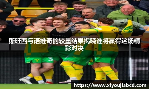 斯旺西与诺维奇的较量结果揭晓谁将赢得这场精彩对决
